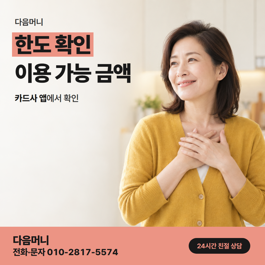다음머니 일산카드깡 전체 한도와 남은 한도의 차이
